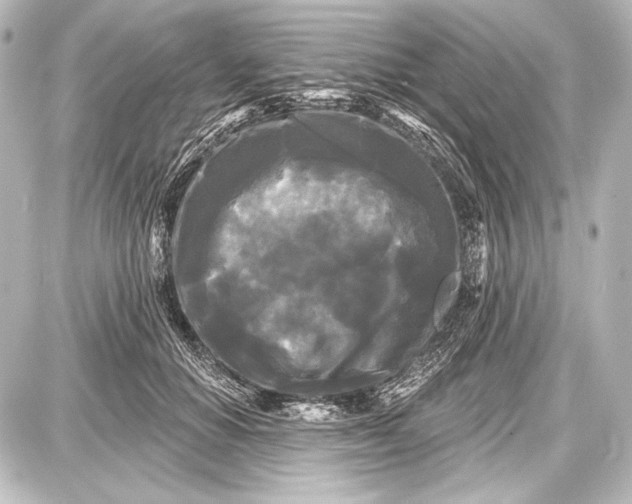 X0000087630654200705181501