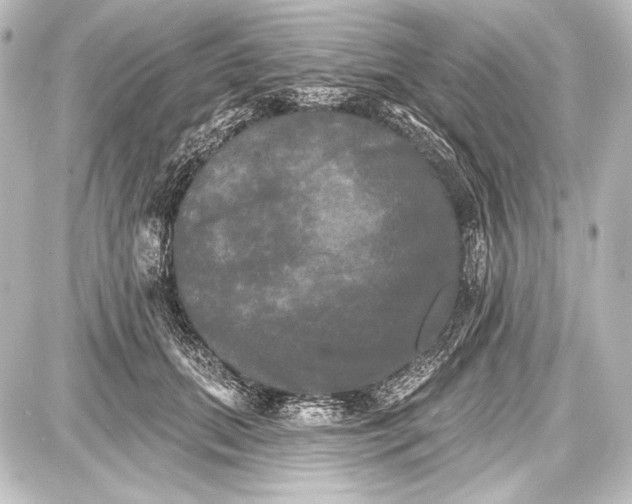 X0000087630655200705181501