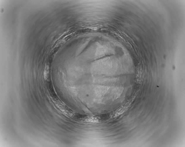 X0000087630656200705181502