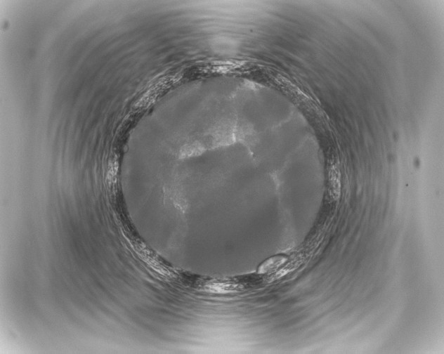 X0000087630657200705181502