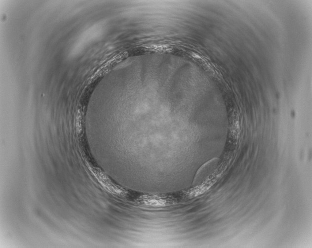 X0000087630658200705181502