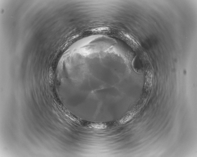 X0000087630659200705181502