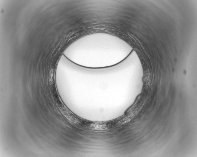 X0000087630660200705181502