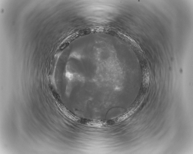 X0000087630661200705181502