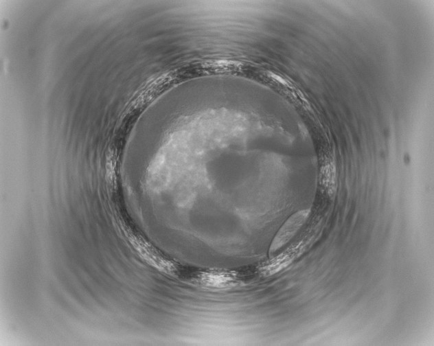 X0000087630662200705181502