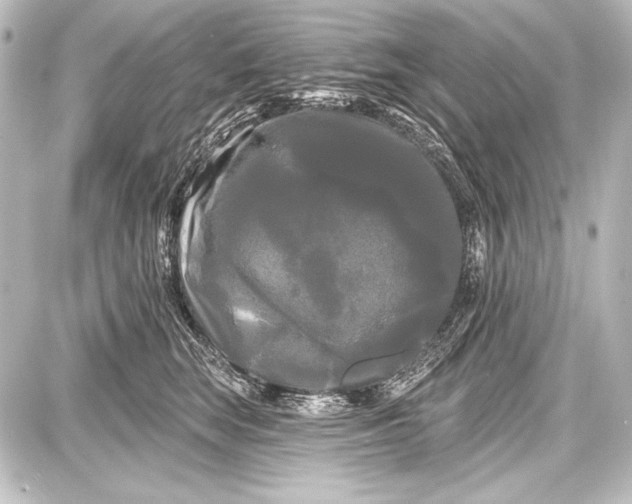 X0000087630663200705181502