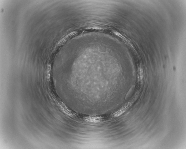 X0000087630664200705181502