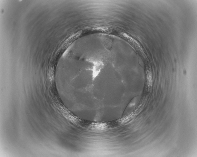 X0000087630665200705181502