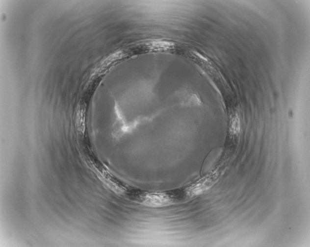 X0000087630666200705181502