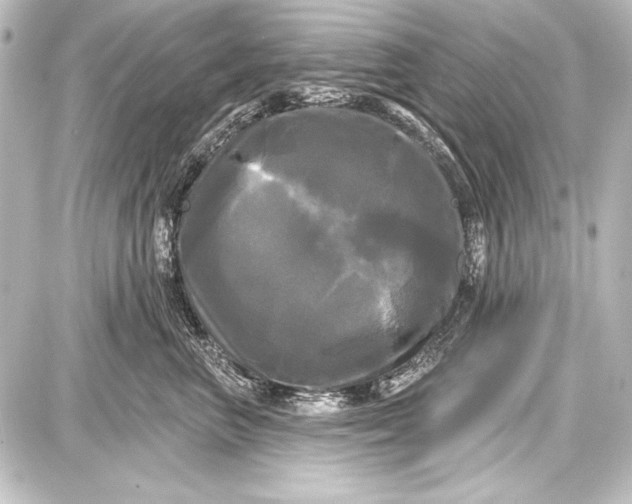 X0000087630667200705181502