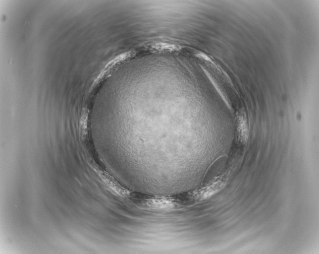 X0000087630668200705181502