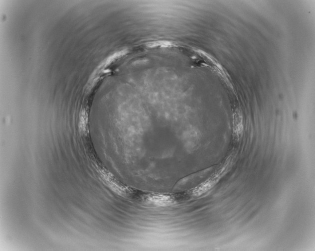 X0000087630669200705181502