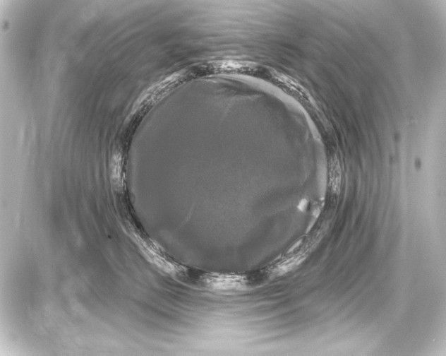 X0000087630670200705181502