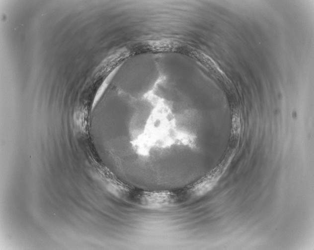 X0000087630671200705181502