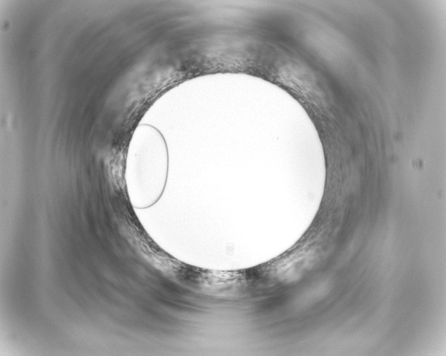 X0000087630672200705181502