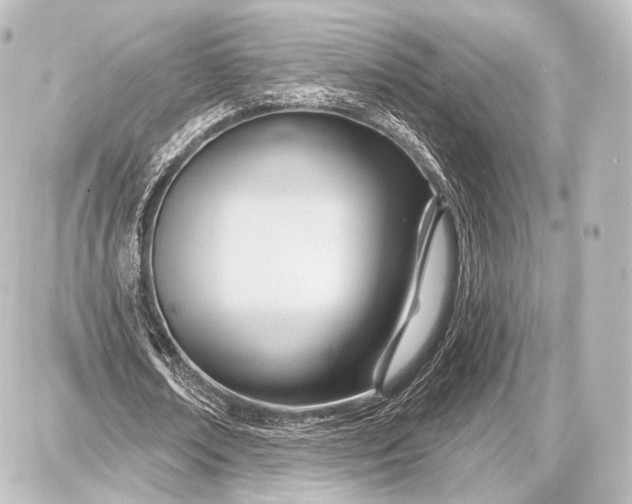 X0000087630674200705181501