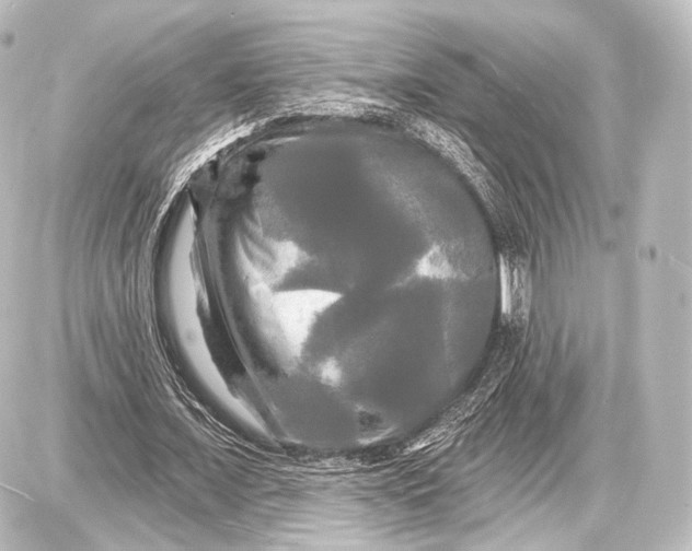 X0000087630675200705181501