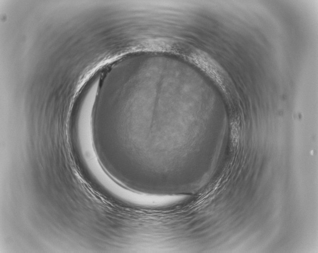 X0000087630676200705181501