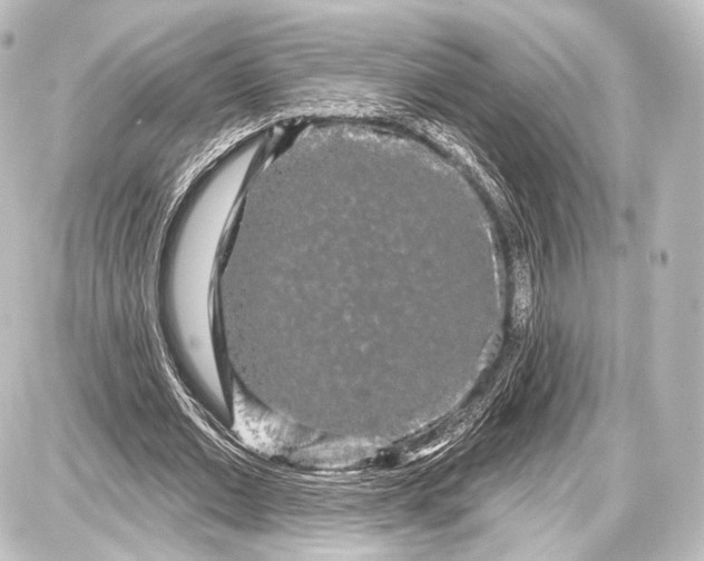 X0000087630677200705181501