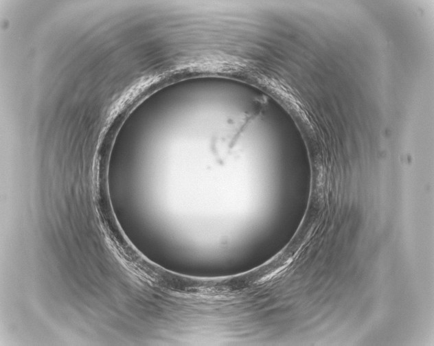 X0000087630678200705181501