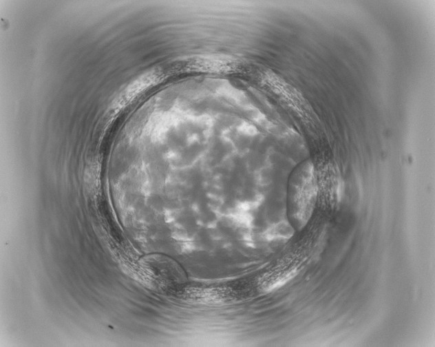 X0000087630679200705181501