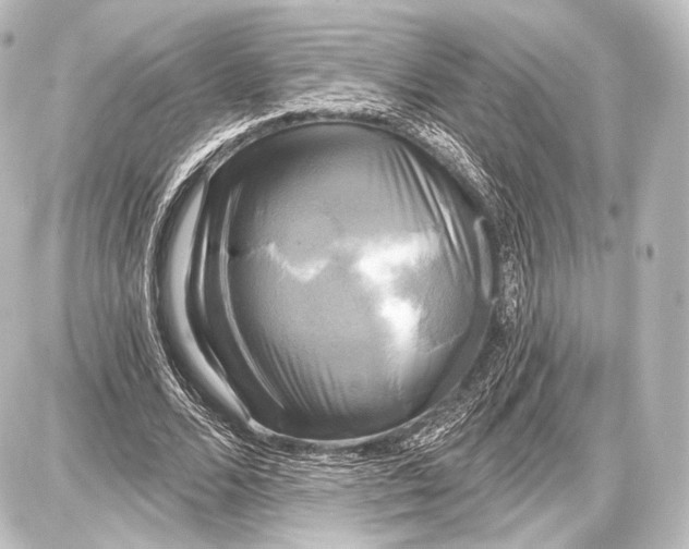 X0000087630680200705181501