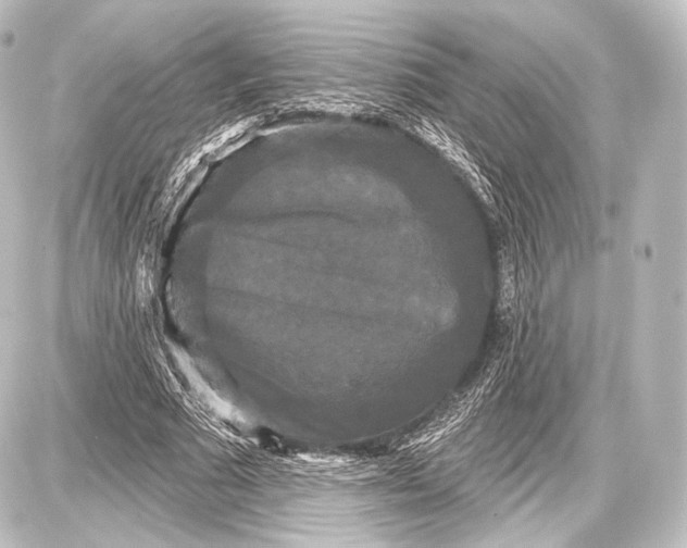 X0000087630681200705181501