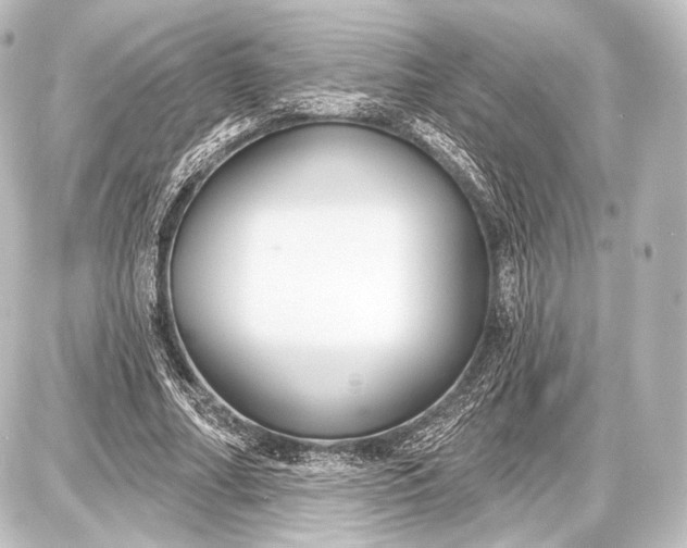 X0000087630682200705181501