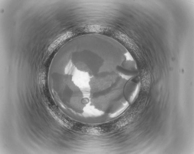 X0000087630683200705181501