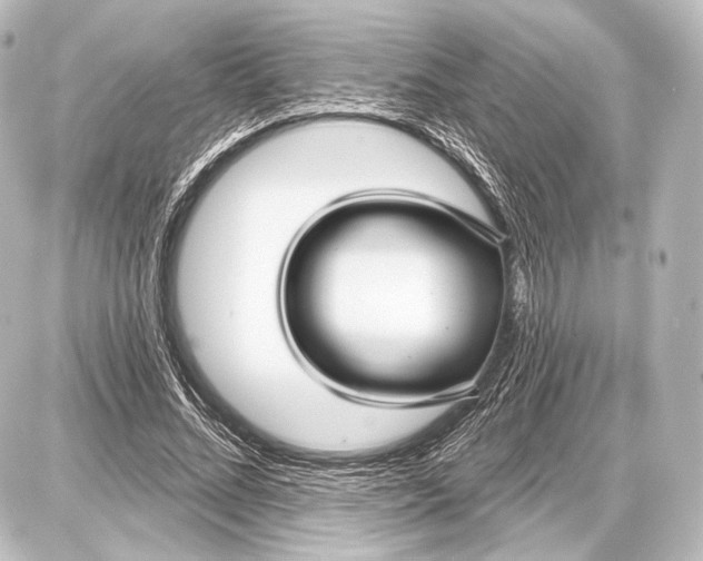 X0000087630684200705181501