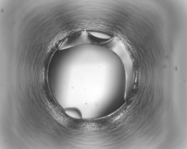 X0000087630685200705181501