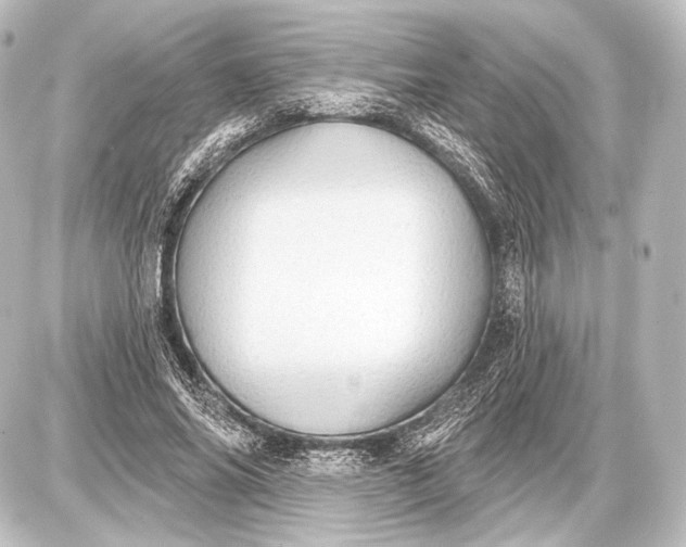 X0000087630686200705181501