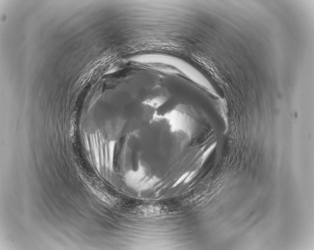 X0000087630687200705181501