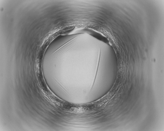 X0000087630688200705181501