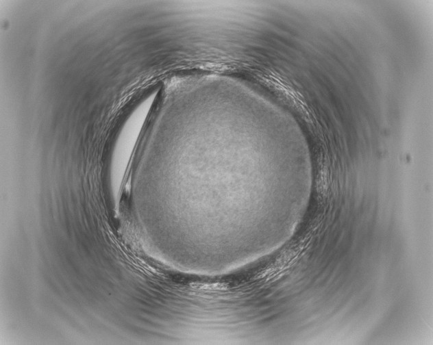 X0000087630689200705181501