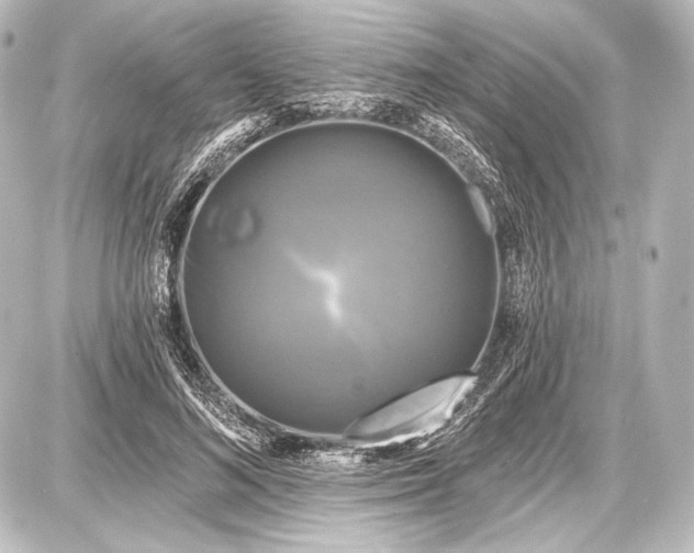 X0000087630692200705181501