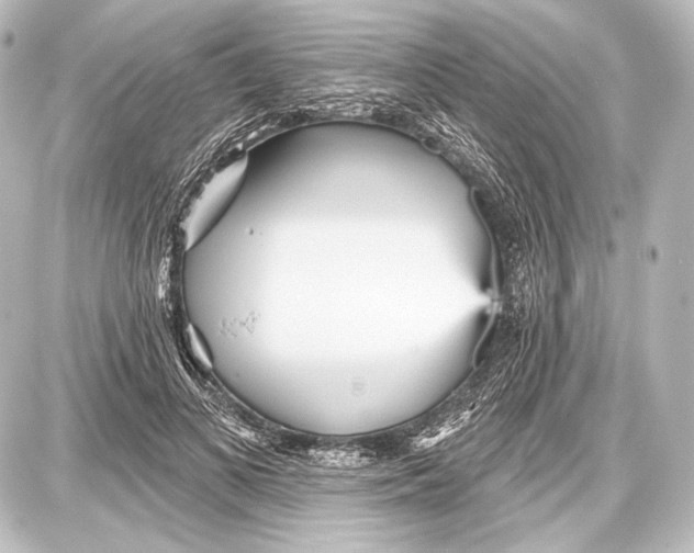 X0000087630693200705181501