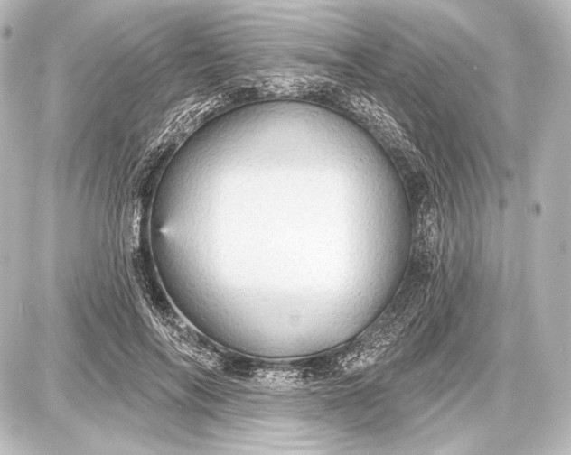 X0000087630694200705181501