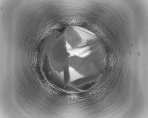 X0000087630695200705181501