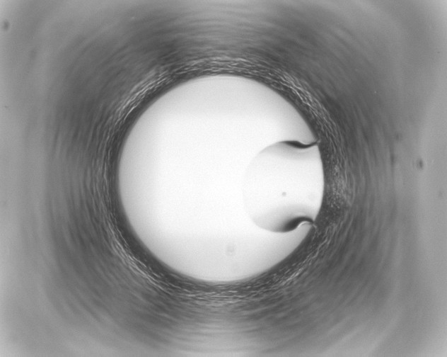 X0000087630696200705181501