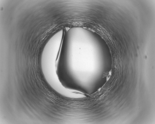 X0000087630697200705181501