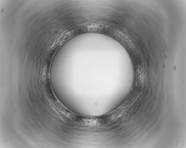 X0000087630698200705181501