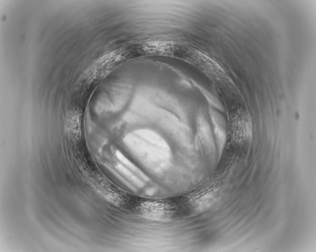 X0000087630699200705181501