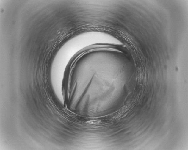 X0000087630700200705181501