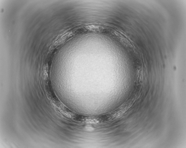 X0000087630702200705181501