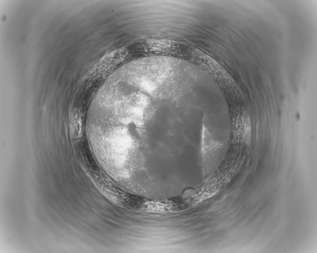 X0000087630703200705181500