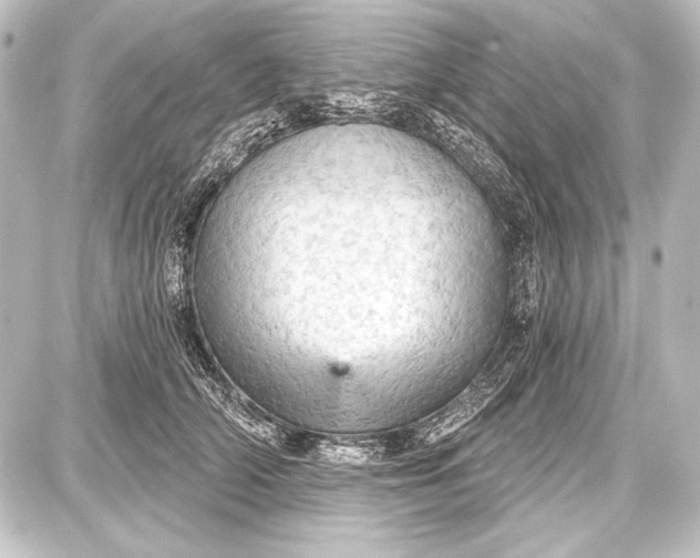 X0000087630706200705181500