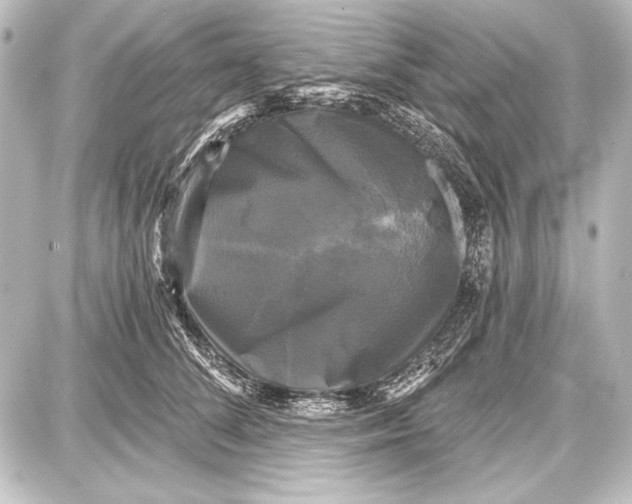 X0000087630708200705181500