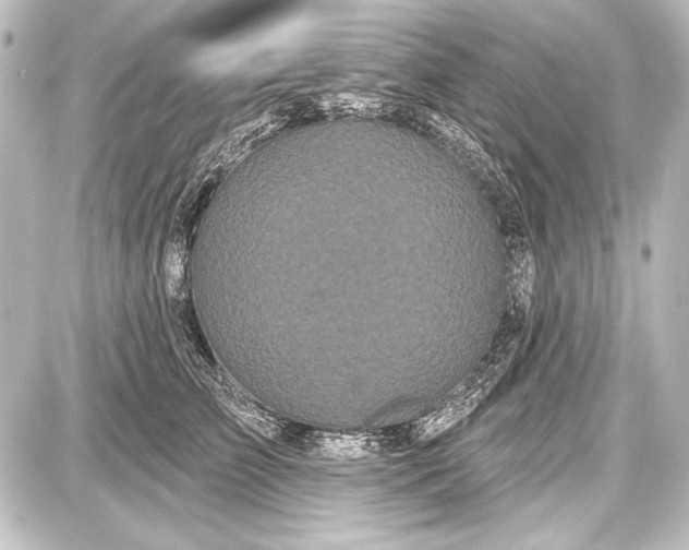 X0000087630709200705181500