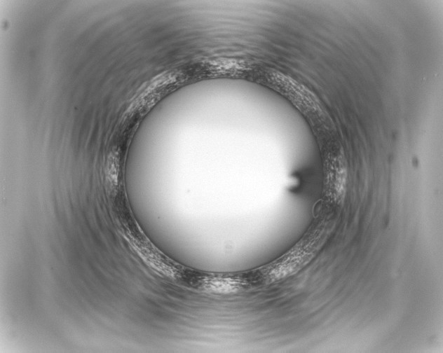 X0000087630710200705181500